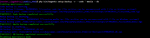 Backup 1 300x77
