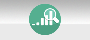 Search Engine Rankings 300x135