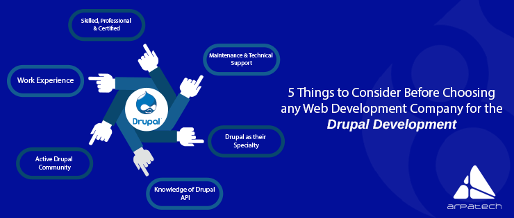 choosing web development company for drupal development
