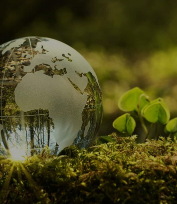 Environmental-Management-Organization
