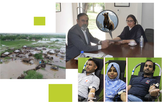 Img Csr Activities