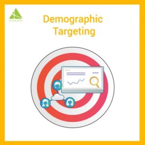 Demographic Targeting 768x768 1 300x300