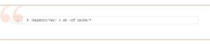Magento 2 Speed Optimization Blog 2 300x65